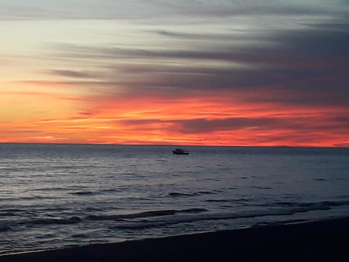 Su Terasa Jaukus Apartamentas, Tik Vienas Palanga Dış mekan fotoğraf
